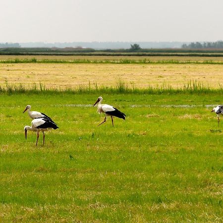 Апартаменти Perelaar Лангелілле Екстер'єр фото